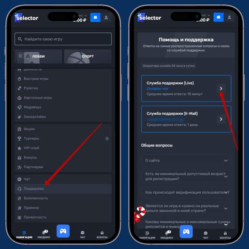 Живой чат на сайте