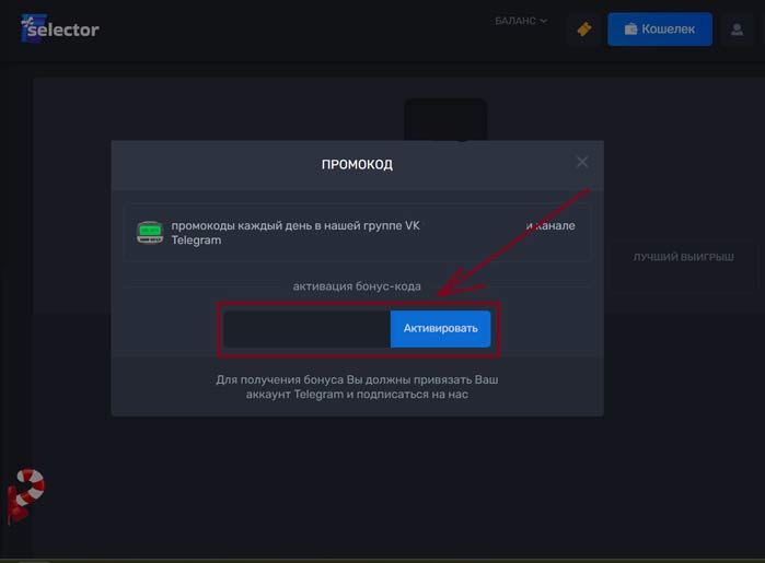 Куда вводить ваучер